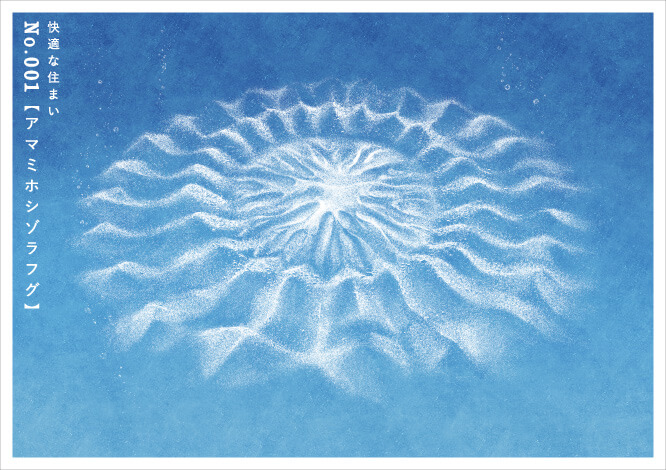 快適な住まいNo.001 【アマミホシゾラフグ】