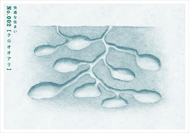 快適な住まいNo.002 【クロオオアリ】