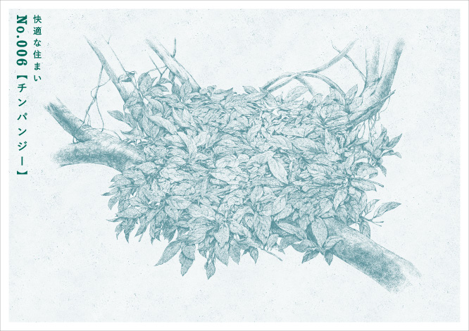 快適な住まいNo.006 【チンパンジー】