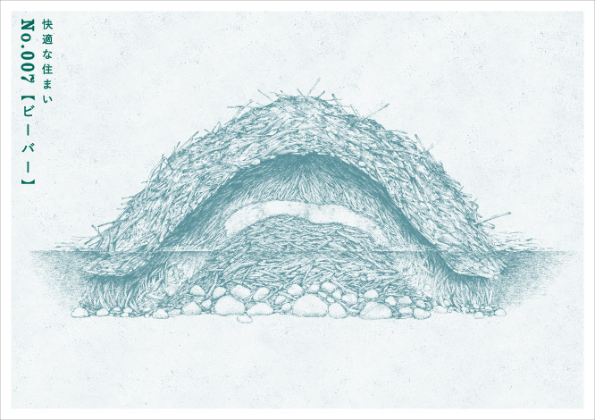 快適な住まいNo.007 【ビーバー】